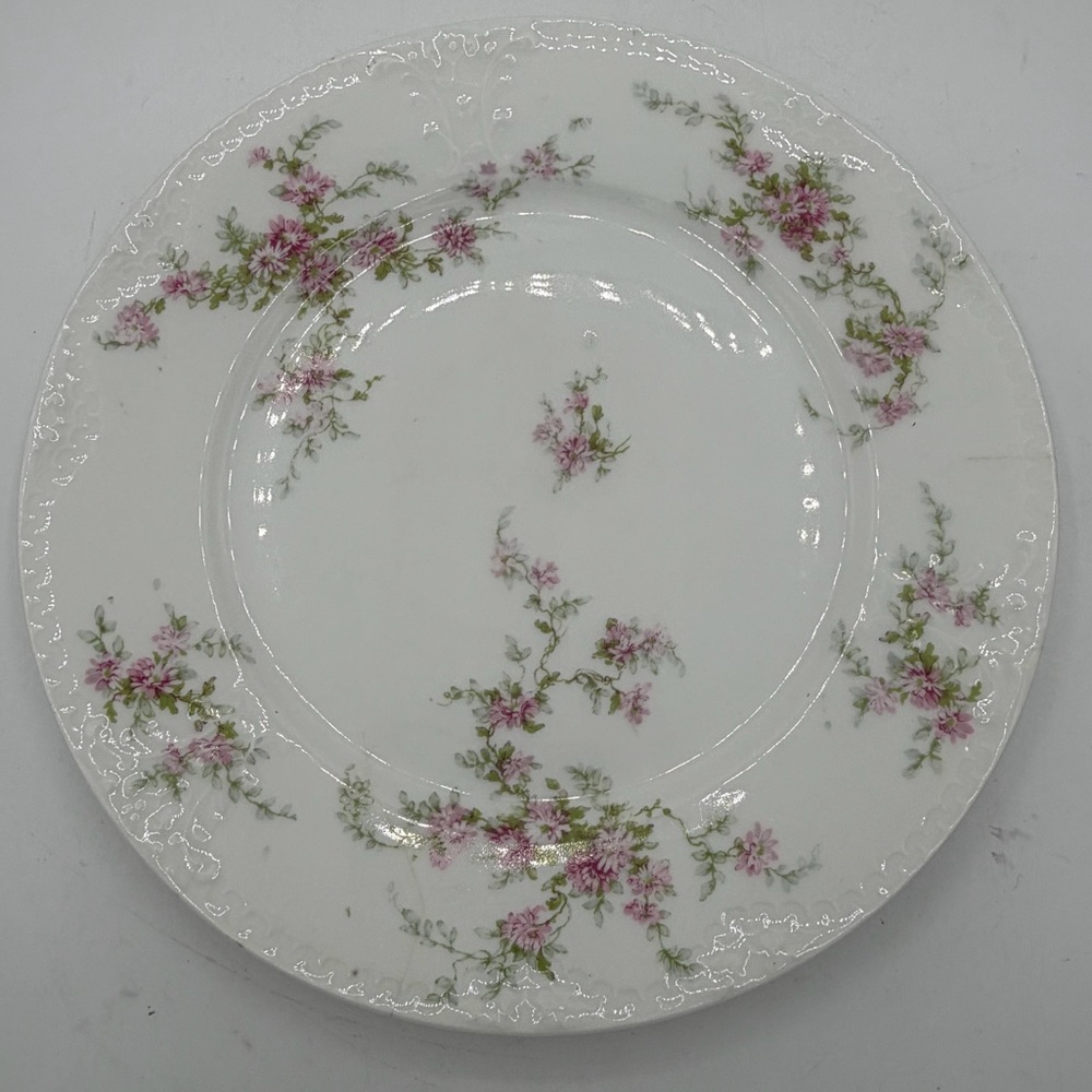 Haviland & Co Limoges France 8.75" Pink Floral Spring Scalloped Edge Lunch Plate